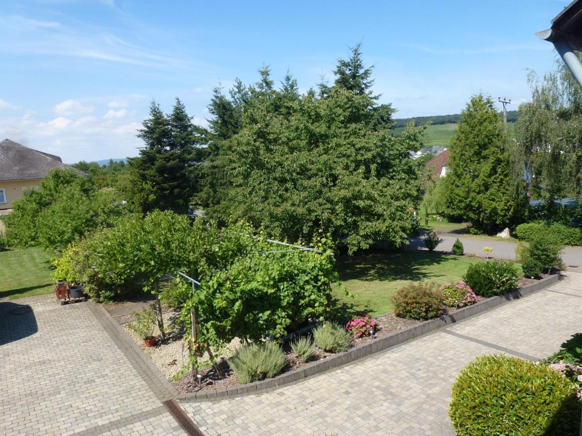 Weingut Harald Ludwig Apartment Osann-Monzel Ngoại thất bức ảnh
