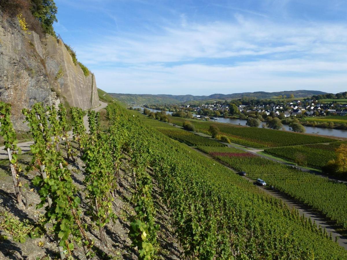 Weingut Harald Ludwig Apartment Osann-Monzel Ngoại thất bức ảnh