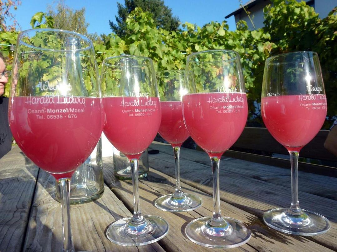 Weingut Harald Ludwig Apartment Osann-Monzel Ngoại thất bức ảnh